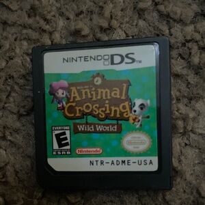 Nintendo DS Game Cartridge with Black Casing